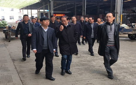 2017年3月16日下午，嘉興市委常委、常務(wù)副市長(zhǎng)樓建明帶領(lǐng)市級(jí)相關(guān)部門(mén)負(fù)責(zé)人視察嘉興蔬菜批發(fā)市場(chǎng)