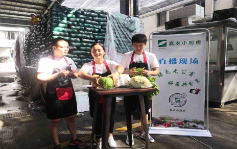 創(chuàng)意直播帶貨,本期專欄：蘭州高原夏菜！