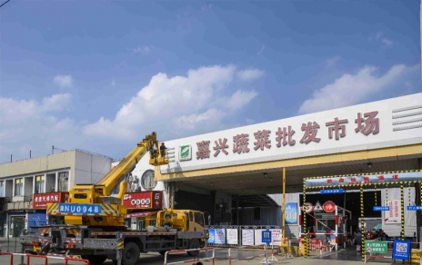 進(jìn)無(wú)止境，“嘉農(nóng)?蔬菜人”