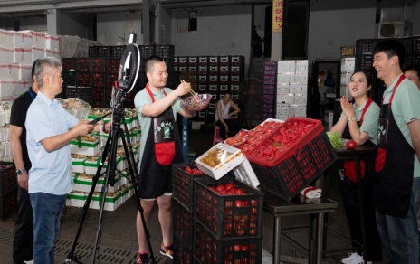 人間煙火氣，最撫凡人心  ---“嘉昕小廚房”本期主角：番茄！